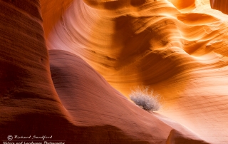 Secret Canyon Light