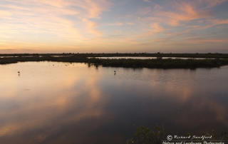 Florida Reflections