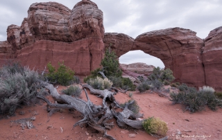 Broken Arch