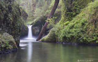 Punchbowl Falls Oregon