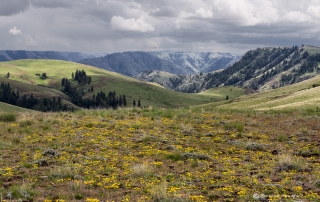 Imnaha River Valley