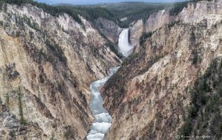 Yellowstone Falls