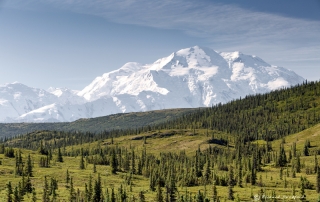 Denali National Park