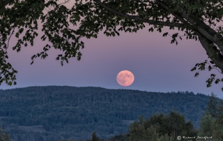 Vermont Super Moon