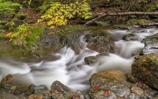 Patterson Brook Vermont