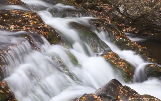 Laurel Creek Smoky Mountains