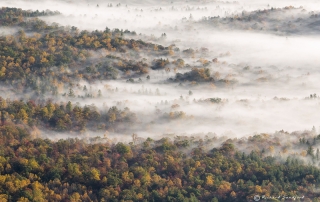 Blue Ridge Parkway Fall Fog