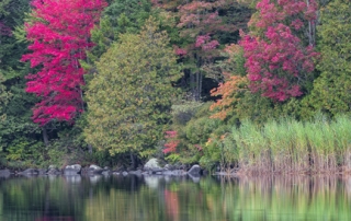 Vermont Fall Reflection Rick Pond