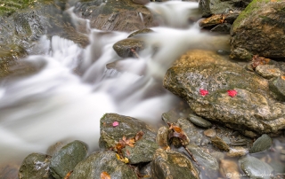 Cascading Brook Vermont