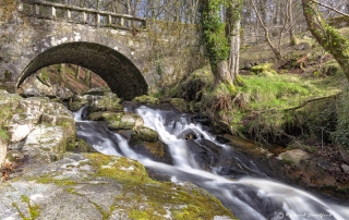 Woodland Cascade Ireland