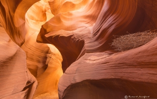 Slot Canyon