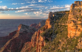 Grand Canyon Light