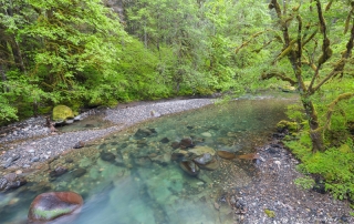 Oregon Clear Stream