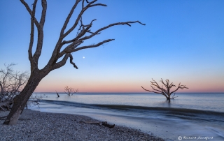 Botany Bay Full Moon