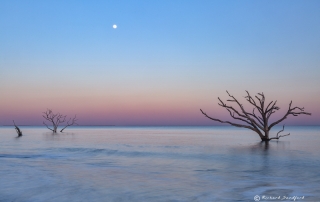 Botany Bay Full Moon Sunset