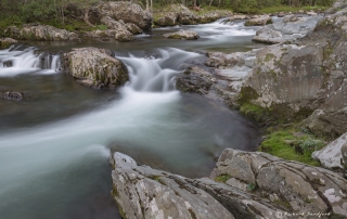 Little Pigeon River GSMNP