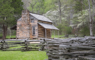 Oliver Cabin Dogwoods GSMNP