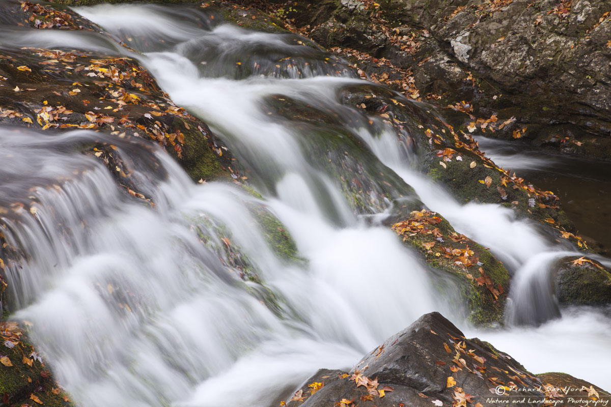 Laurel Creek flows amongst moss covered rocks and the colorful leaves of autumn, Great Smoky Mountains National Park, Tennessee.