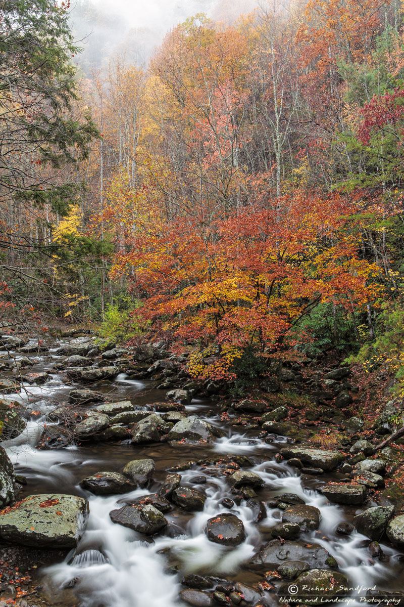 The Little River flows amidst beautiful fall foliage. Great Smokey Mountain National Park.
