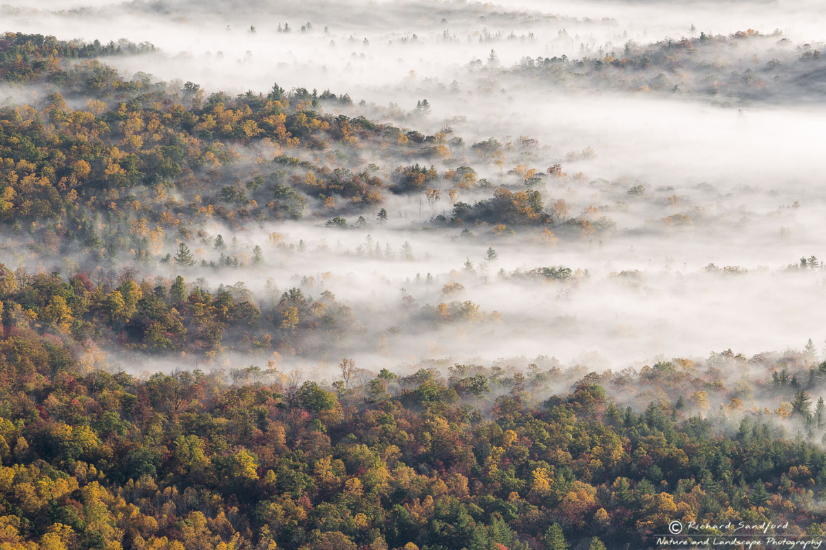 Fog envelopes autumn foliage in the valley below the Blue Ridge Parkway, NC.