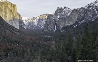 Yosemite Valley Tunnel View