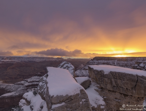 Grand Canyon Sunrise