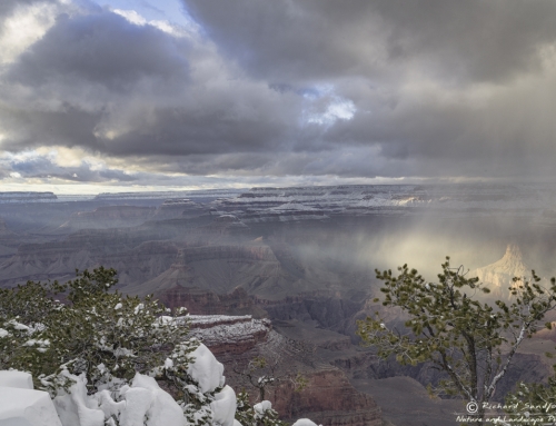 Grand Canyon Sun-rays