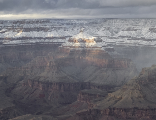 Grand Canyon Sunlight