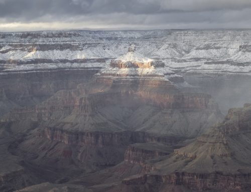 Grand Canyon Sunlight