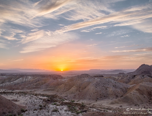 Sunset Big Bend National Park