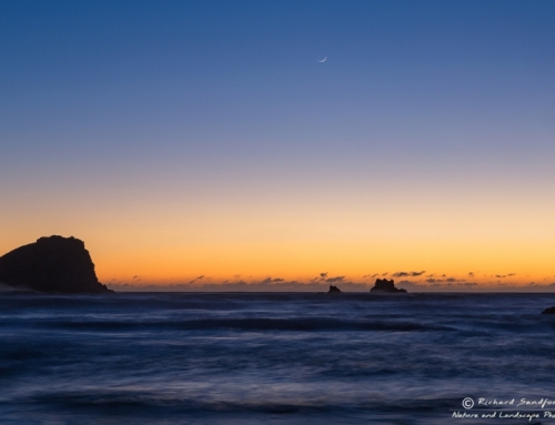 Crescent Moon Sunset