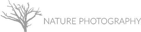 Fine Art Nature Photography Logo