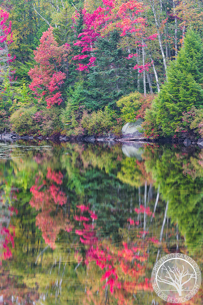 Fall foliage at Kettle Pond