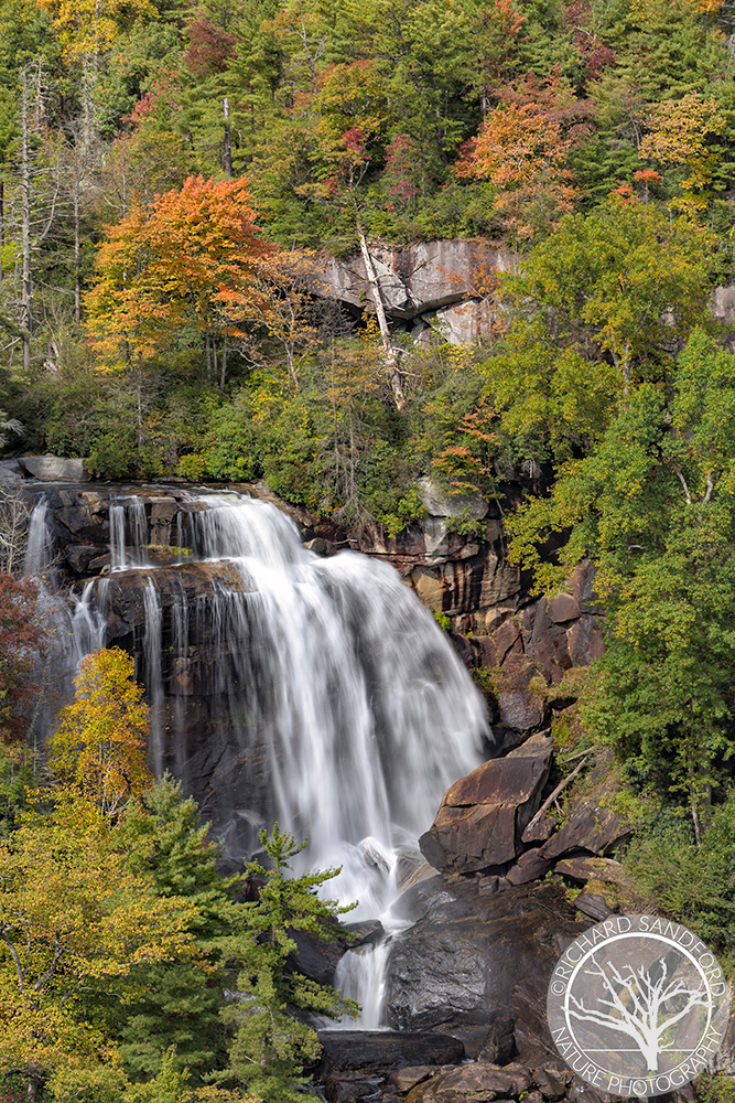 Whitewater Falls Fall Foliage